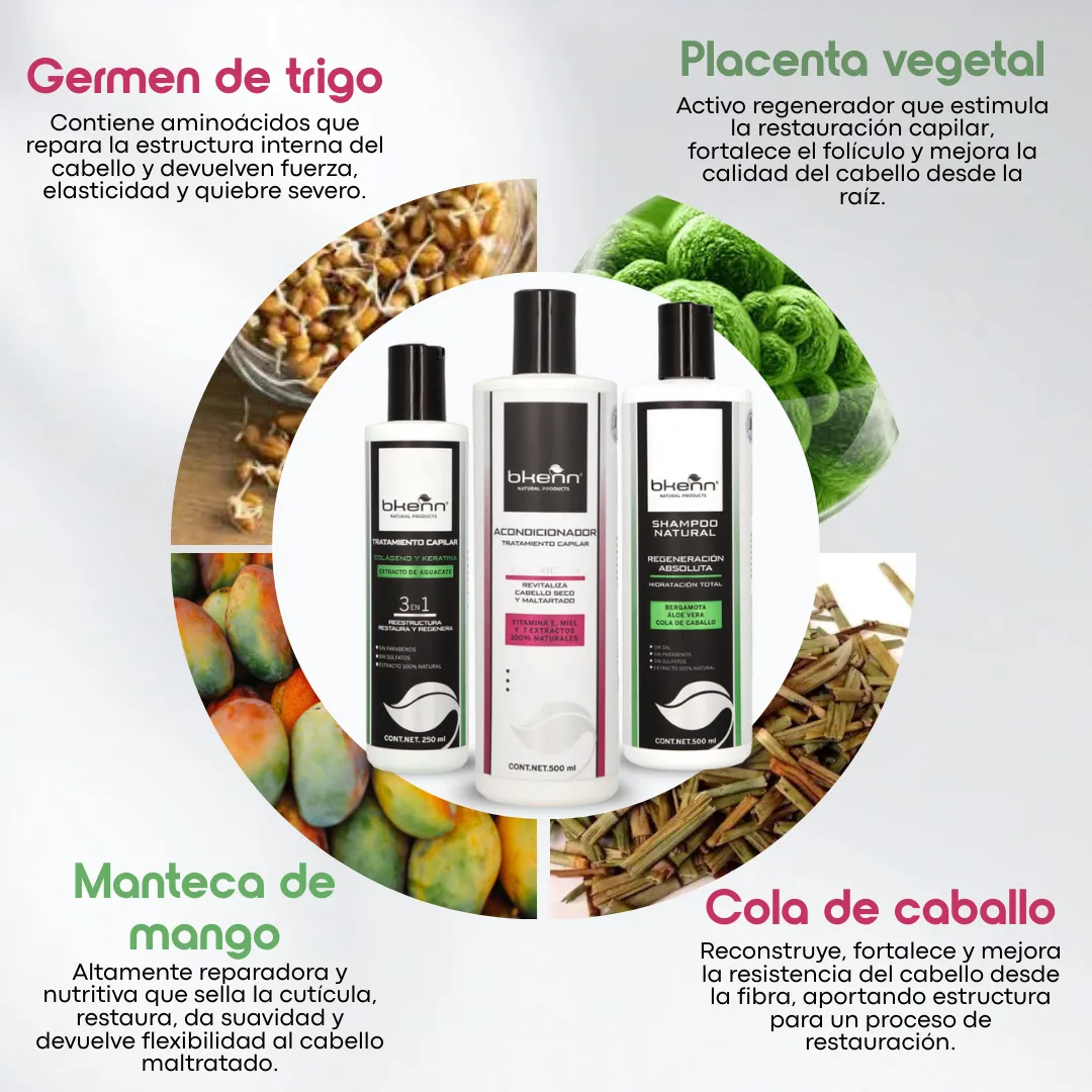 KIT RESTAURACIÓN ABSOLUTA