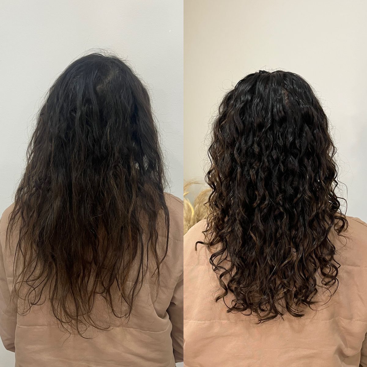 WhatsApp Image 2026-02-17 at 4.54.13 PM