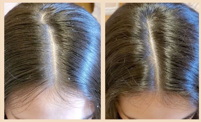 WhatsApp Image 2026-02-17 at 4.54.37 PM