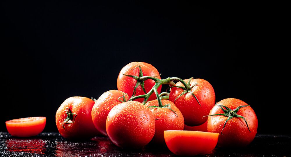 ripe-tomatoes-on-a-branch-and-tomato-halves-2023-11-27-05-19-07-utc (1) (1)