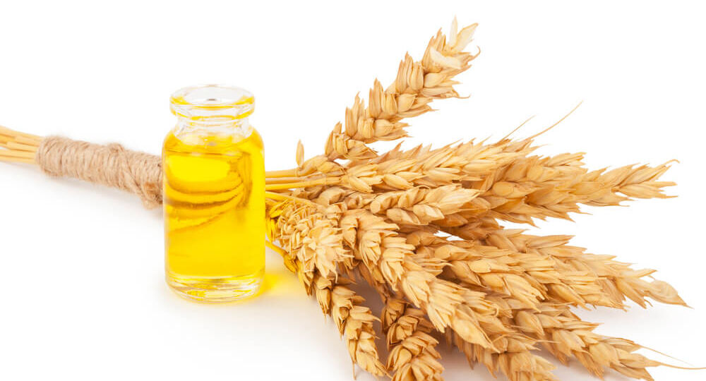 wheat-germ-oil-2023-11-27-05-04-53-utc (1) (1)